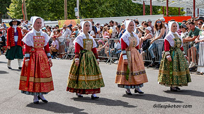 Photos Défilé interceltique de lorient 2026